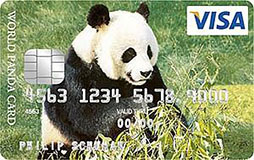 Visa World Panda Card
